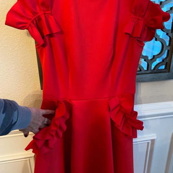 Ted Baker Holiday dress - Picture 4 of 5